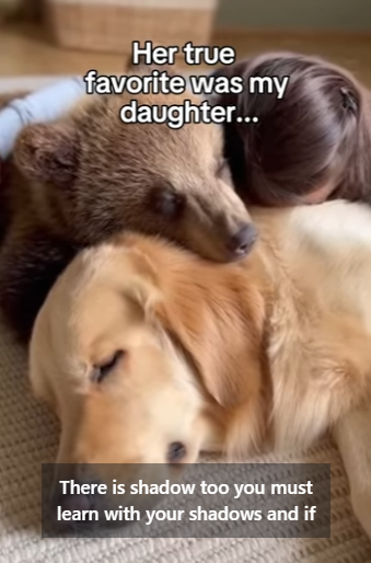 P0702002 Saved Her Wolf She Came Back Years Later Real animal res (Part 2)