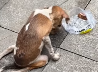 M0202011 Hoy la esperanza regreso (Parte 2)