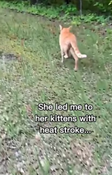 P0702009 made me cry so much (Part 2)