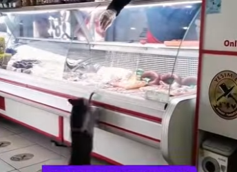 A0202006 Un rescate que devolvio la esperanza (Parte 2)