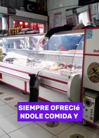 A0202006 Un rescate que devolvio la esperanza (Parte 2)