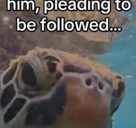 P0702010 Wait it (Part 2)