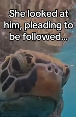 P0702010 Wait it (Part 2)