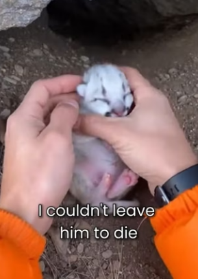 P0702004 His Mom Rejected Him Because He Was White (Part 2)