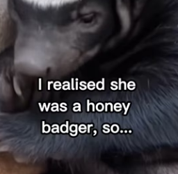 P0702006 Wait till end (Part 2)