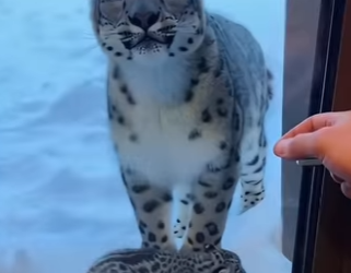 F0402009 One day, special guest came to my doorstep (Part 2)