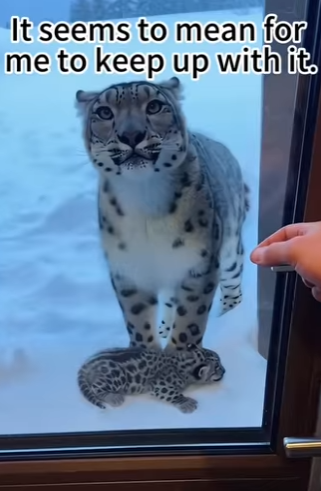 F0402009 One day, special guest came to my doorstep (Part 2)