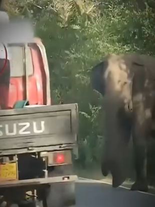 V0802012 ella solo estaba pidiendo ayuda (Parte 2)