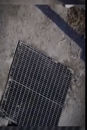 V0802003 duro meses esperando su rescate (Parte 2)