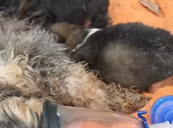 M0202012 La ayuda cambio el final (Parte 2)