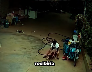 V0802001 este hombre hizo todo lo posible por defender su cachorro (Parte 2)