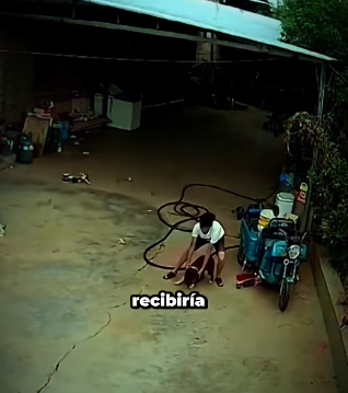 V0802001 este hombre hizo todo lo posible por defender su cachorro (Parte 2)