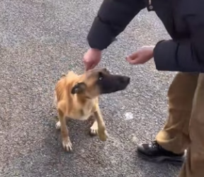 L0602001 Una oportunidad fue protegida (Parte 2)