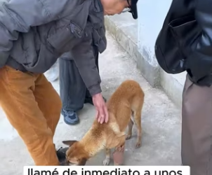 L0602003 El rescate trajo alivio (Parte 2)