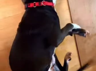 M0202014 Un nuevo inicio comenzo hoy (Parte 2)