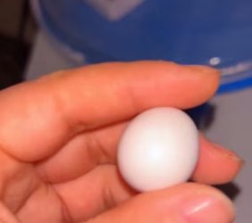 L0602005 Hoy la esperanza volvio a nacer (Parte 2)