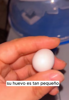 L0602005 Hoy la esperanza volvio a nacer (Parte 2)