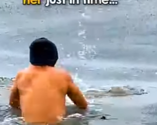 I0402013 Hero shows incredible bravery saving helpless pu (Part 2)