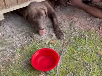 I0602004 So patient! (Part 2)