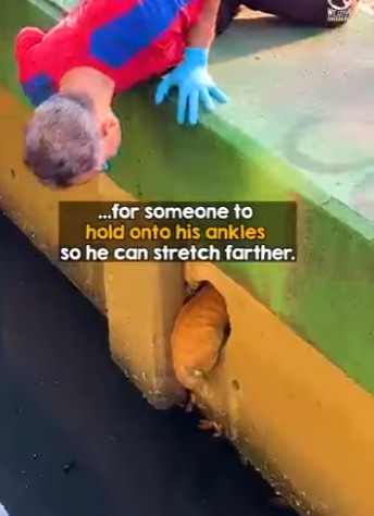 I0402014 They had no idea how to help, until someone sugges (Part 2)