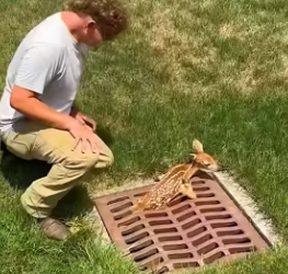 I0602003 Kindness compassion (Part 2)