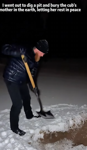 adopted two coyotes whose mothers had passed away, then (Part 2)