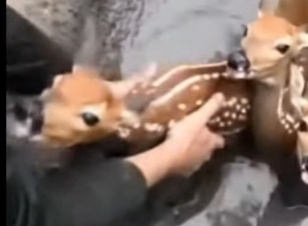 P0902006 Some heroes are five years old (Part 2)