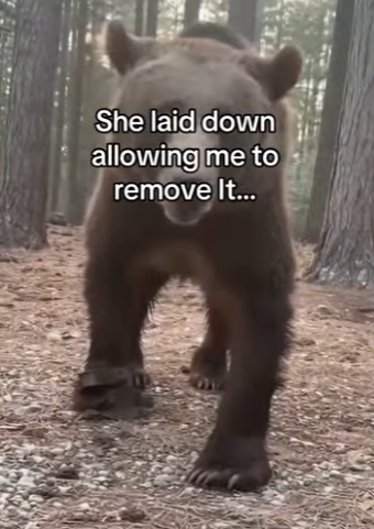 P0902004 I saved a bear (Part 2)