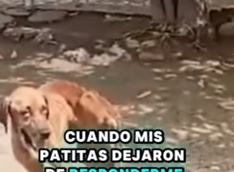 M0202013 Del abandono a la proteccion (Parte 2)