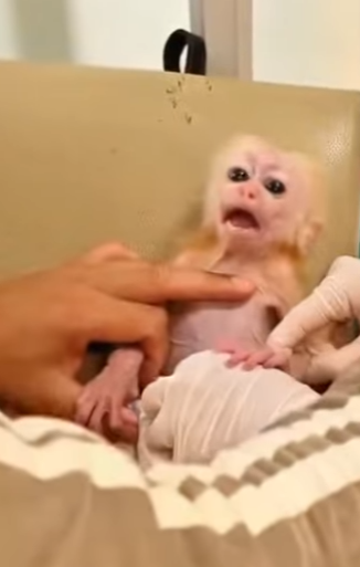 A0702009 His mother was not able to raise him (Parte 2)