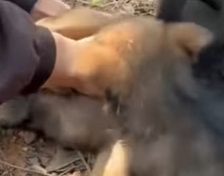 M0202008 La compasion no miro a otro lado (Parte 2)