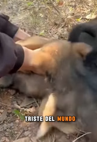 M0202008 La compasion no miro a otro lado (Parte 2)