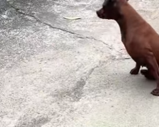 M0202003 Una oportunidad nacio aqui (Parte 2)