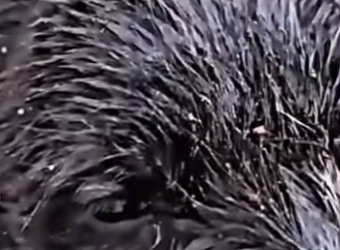 M0202001 Donde hubo dolor ahora hay paz (Parte 2)