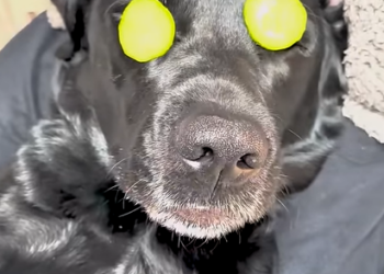 I0602009 So gentle loving Thank you (Part 2)