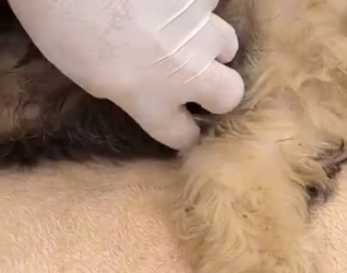 M1102006 Me arrojaron del carro siguieron su camino (Parte 2)