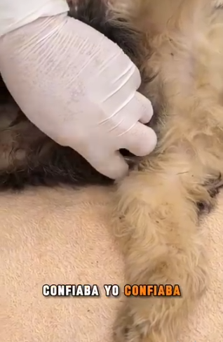 M1102006 Me arrojaron del carro siguieron su camino (Parte 2)