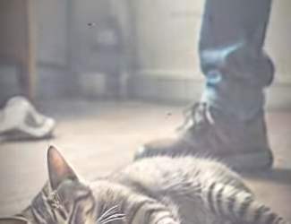 V0202010 De la angustia al alivio (Parte 2)