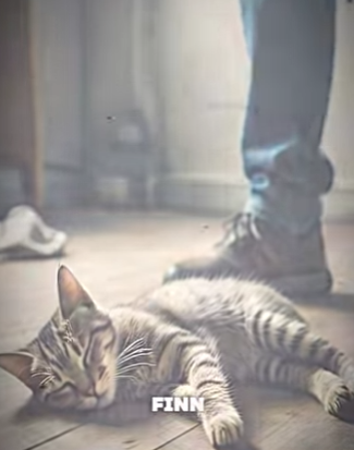 V0202010 De la angustia al alivio (Parte 2)