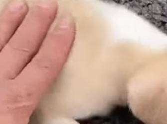 M1102003 Abandonados bajo el Sol Cómo un acto de amor nos salvó (Parte 2)