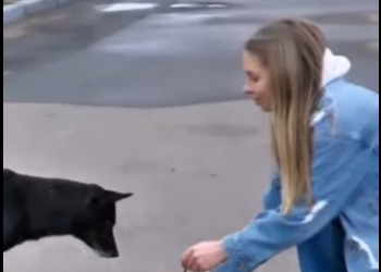 M1102005 Mi patita rota me enseñó que el amor puede sanar todo (Parte 2)