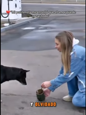 M1102005 Mi patita rota me enseñó que el amor puede sanar todo (Parte 2)