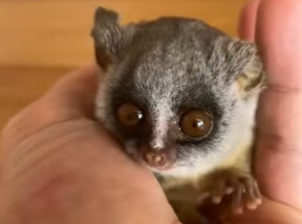 A0202003 Hoy alguien encontro seguridad (Parte 2)