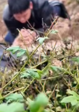 M1102004 El llanto que nadie escuchó hasta que llegó la esperanza (Parte 2)