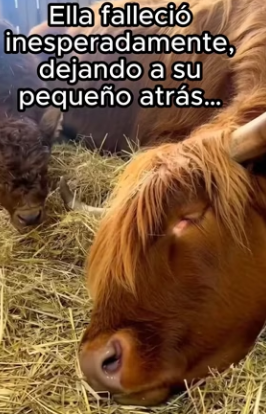 O1002009 Ahora tengo dos mejores amigos (Parte 2)