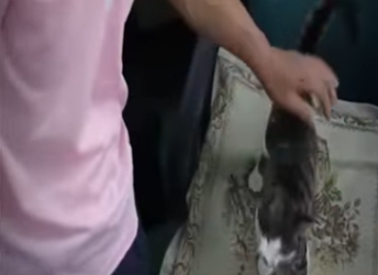 V0202006 El rescate eligio proteger (Parte 2)