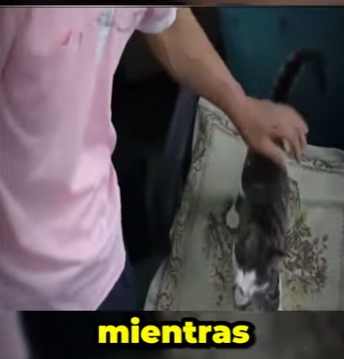 V0202006 El rescate eligio proteger (Parte 2)