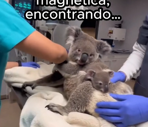 O1002014 Mi familia acaba de crecer (Parte 2)