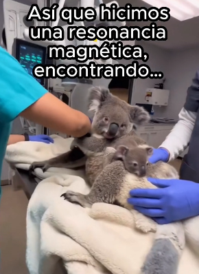 O1002014 Mi familia acaba de crecer (Parte 2)