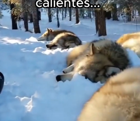 O1002018 Mis ángeles personales (Parte 2)